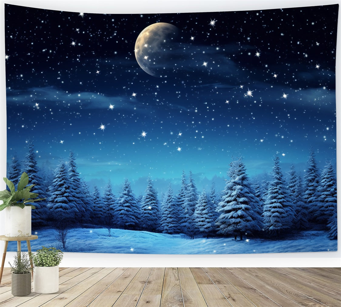 Starry Night Winter Wonderland Photography Backdrop BRP9-211