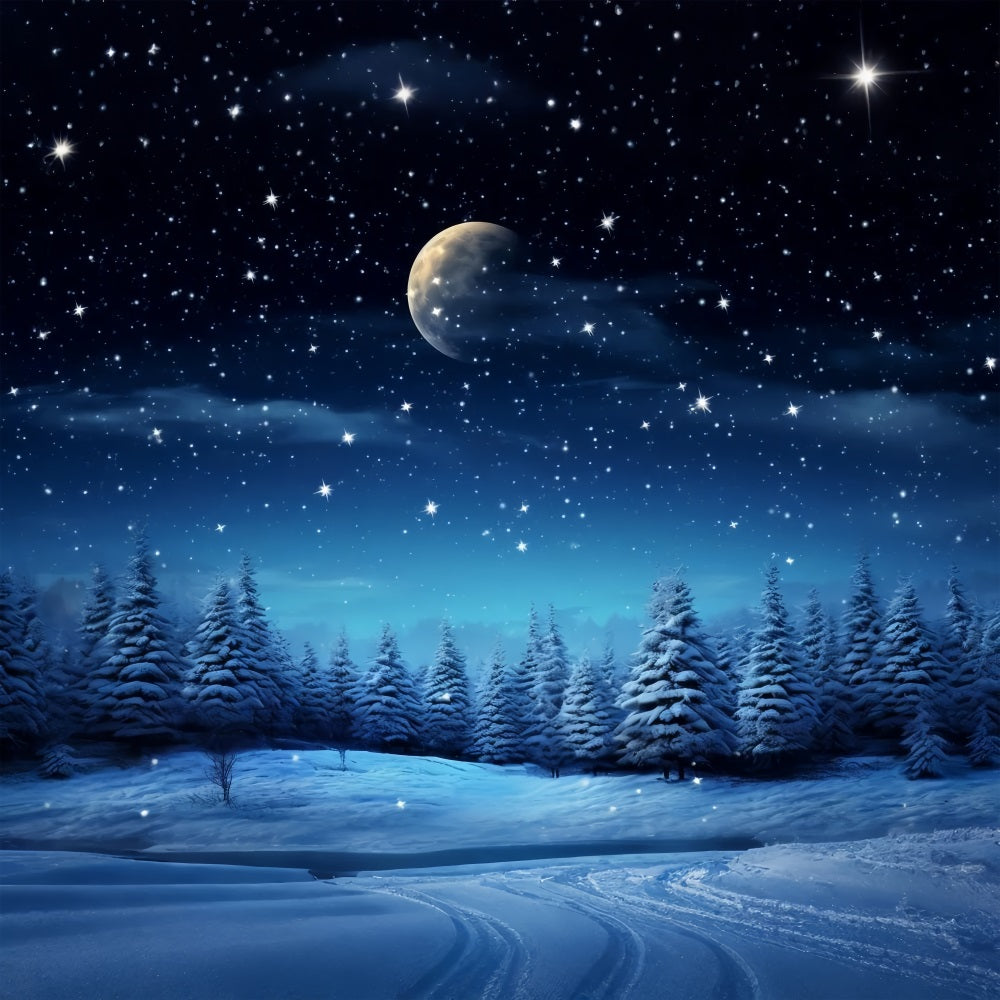 Starry Night Winter Wonderland Photography Backdrop BRP9-211