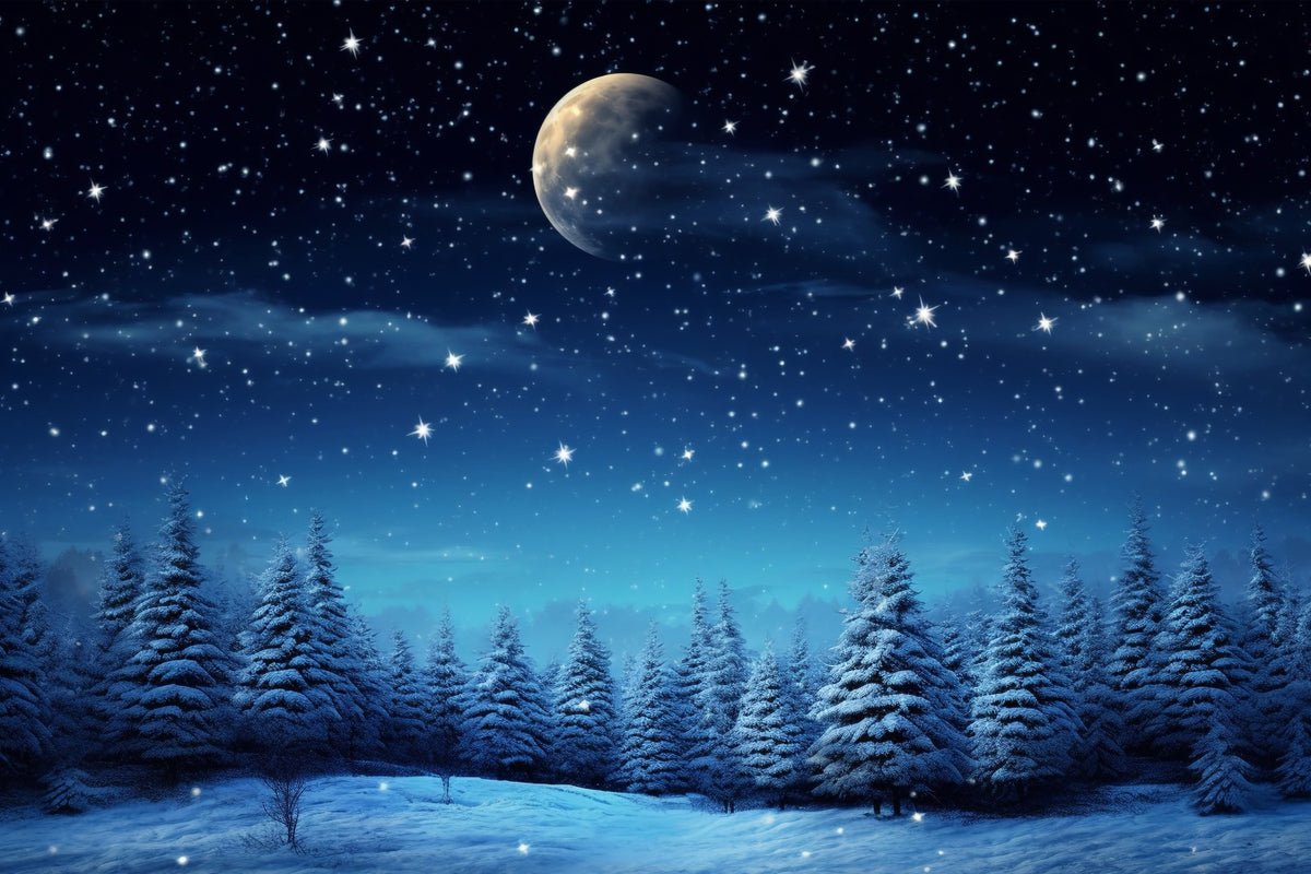 Starry Night Winter Wonderland Photography Backdrop BRP9-211