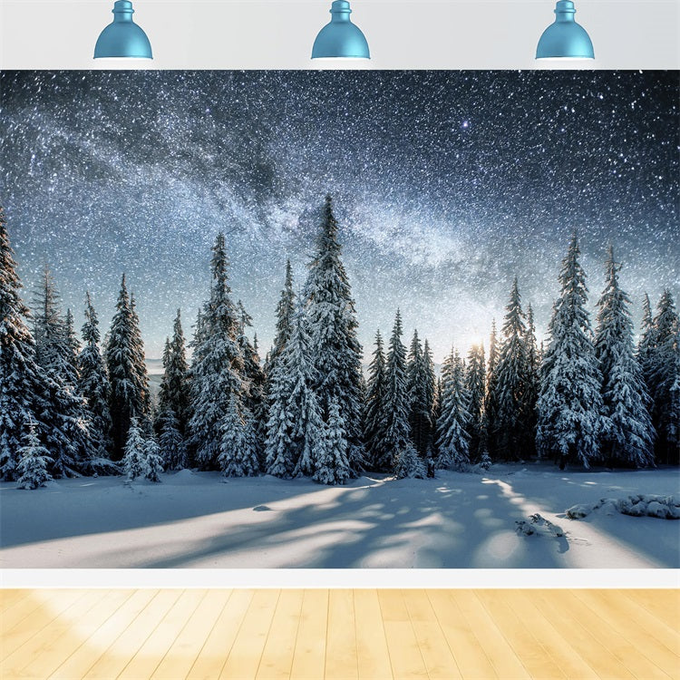 Milky Way Over Winter Snowy Forest Backdrop BRP9-213