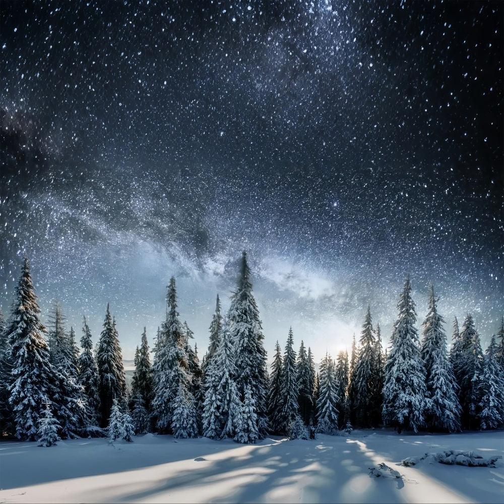 Milky Way Over Winter Snowy Forest Backdrop BRP9-213