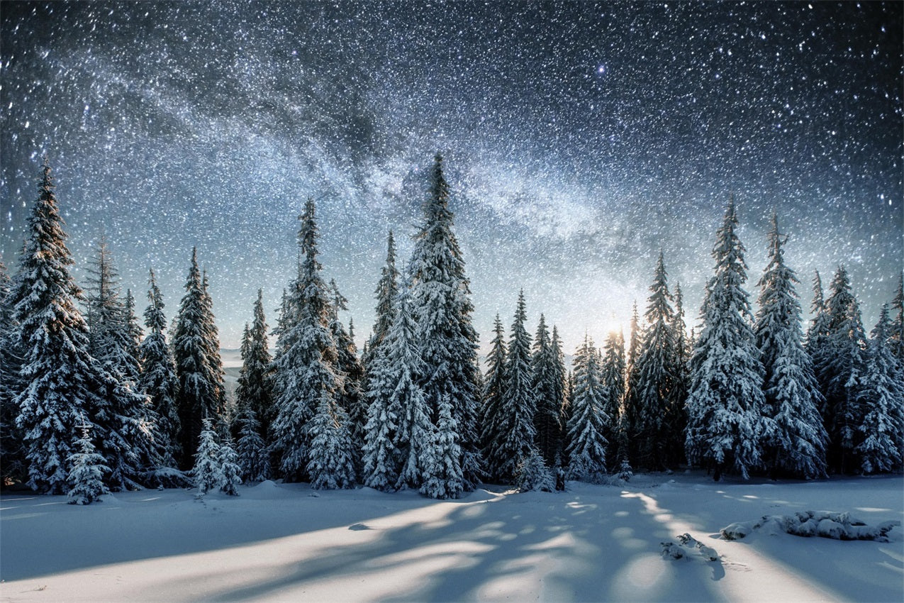 Milky Way Over Winter Snowy Forest Backdrop BRP9-213