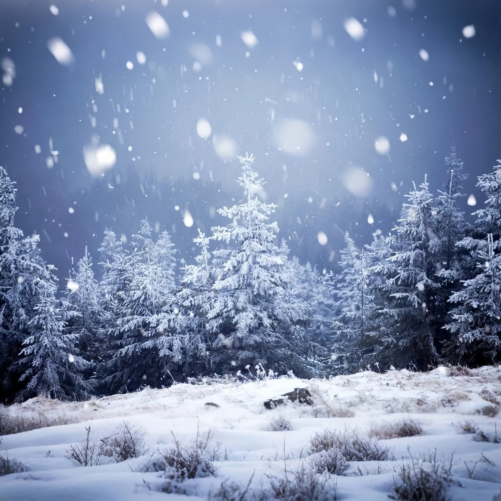 Winter Night Snowfall Moonlit Starry Backdrop BRP9-214