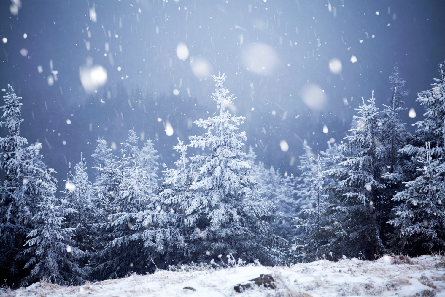 Winter Night Snowfall Moonlit Starry Backdrop BRP9-214