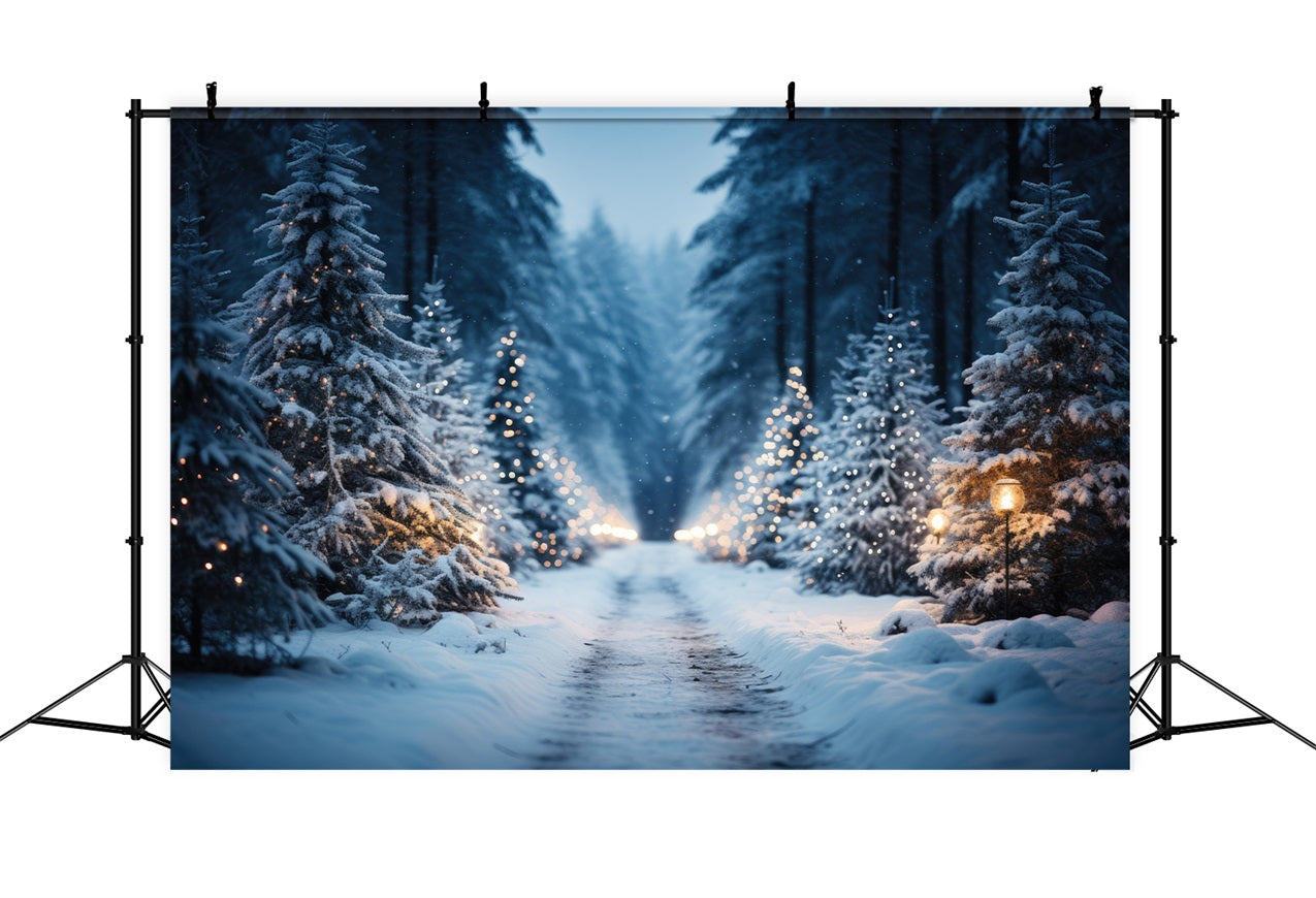 Winter Wonderland Trail Through Snowy Pines Backdrop BRP9-215