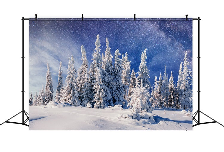 Winter Snowy Pines Beneath Milky Way Backdrop BRP9-216