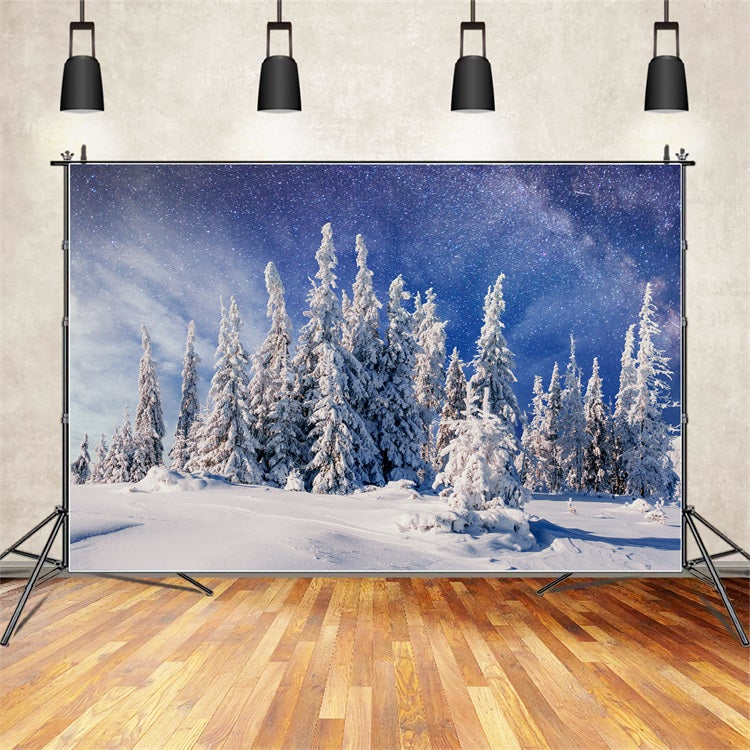 Winter Snowy Pines Beneath Milky Way Backdrop BRP9-216