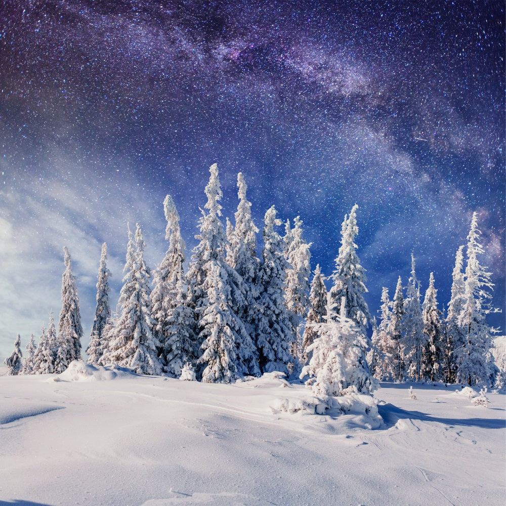 Winter Snowy Pines Beneath Milky Way Backdrop BRP9-216