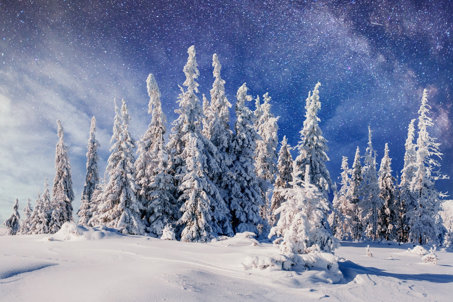 Winter Snowy Pines Beneath Milky Way Backdrop BRP9-216