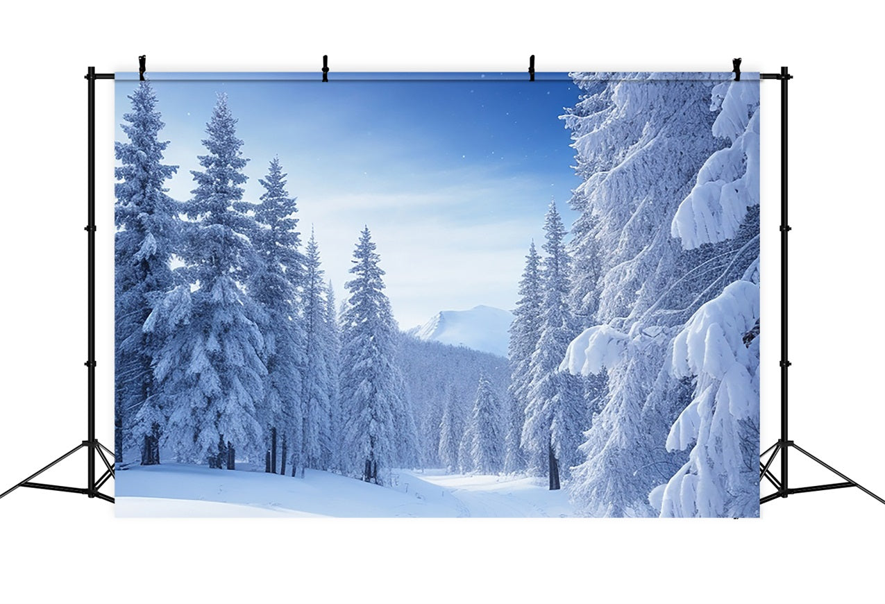 Serene Snowy Pine Tree Landscape Winter Backdrop BRP9-217