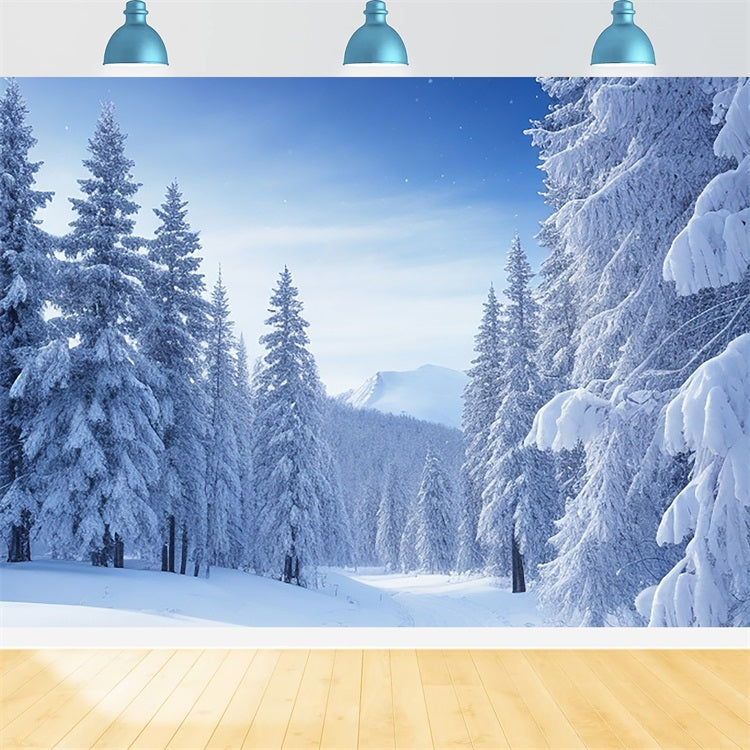 Serene Snowy Pine Tree Landscape Winter Backdrop BRP9-217