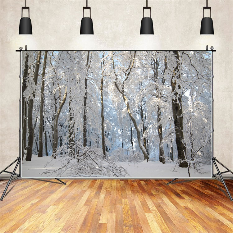 Winter Snowy Forest Wonderland Photography Backdrop BRP9-220