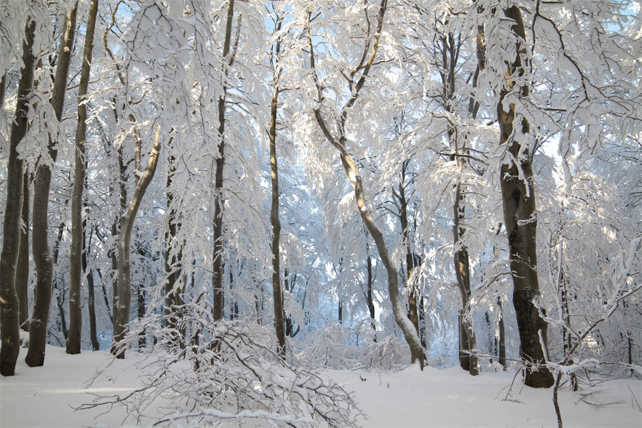 Winter Snowy Forest Wonderland Photography Backdrop BRP9-220