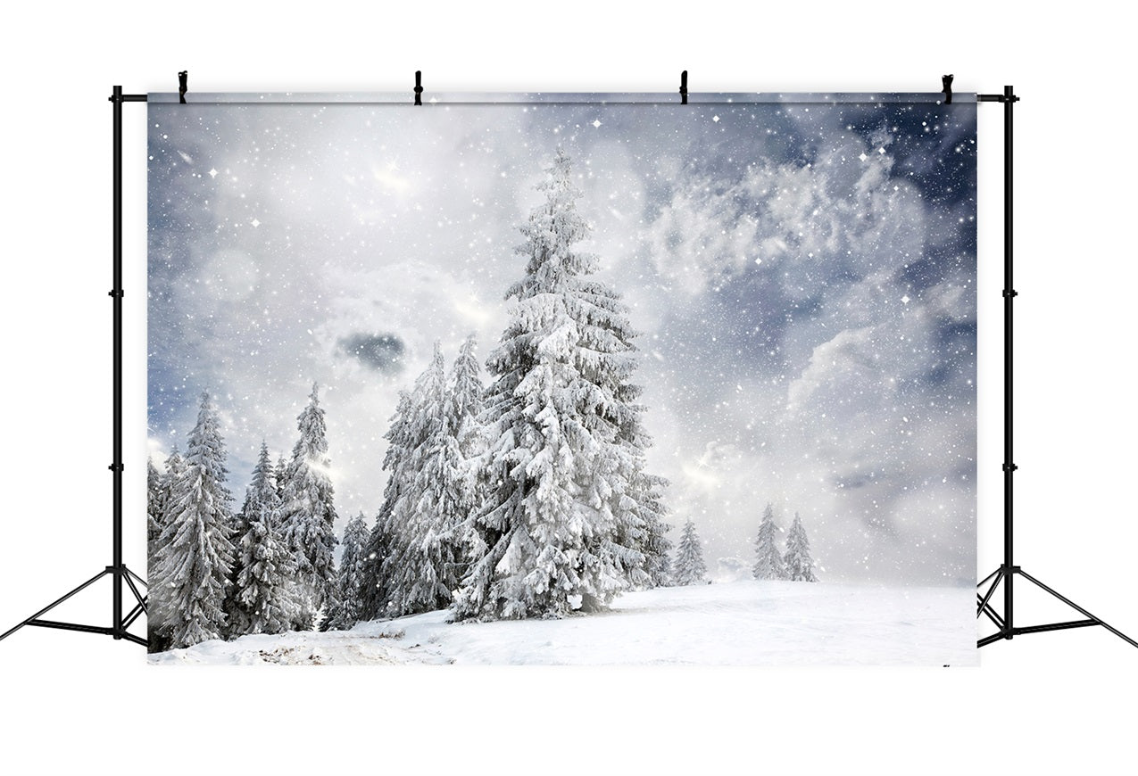 Winter Forest Under Starlit Sky Backdrop BRP9-224