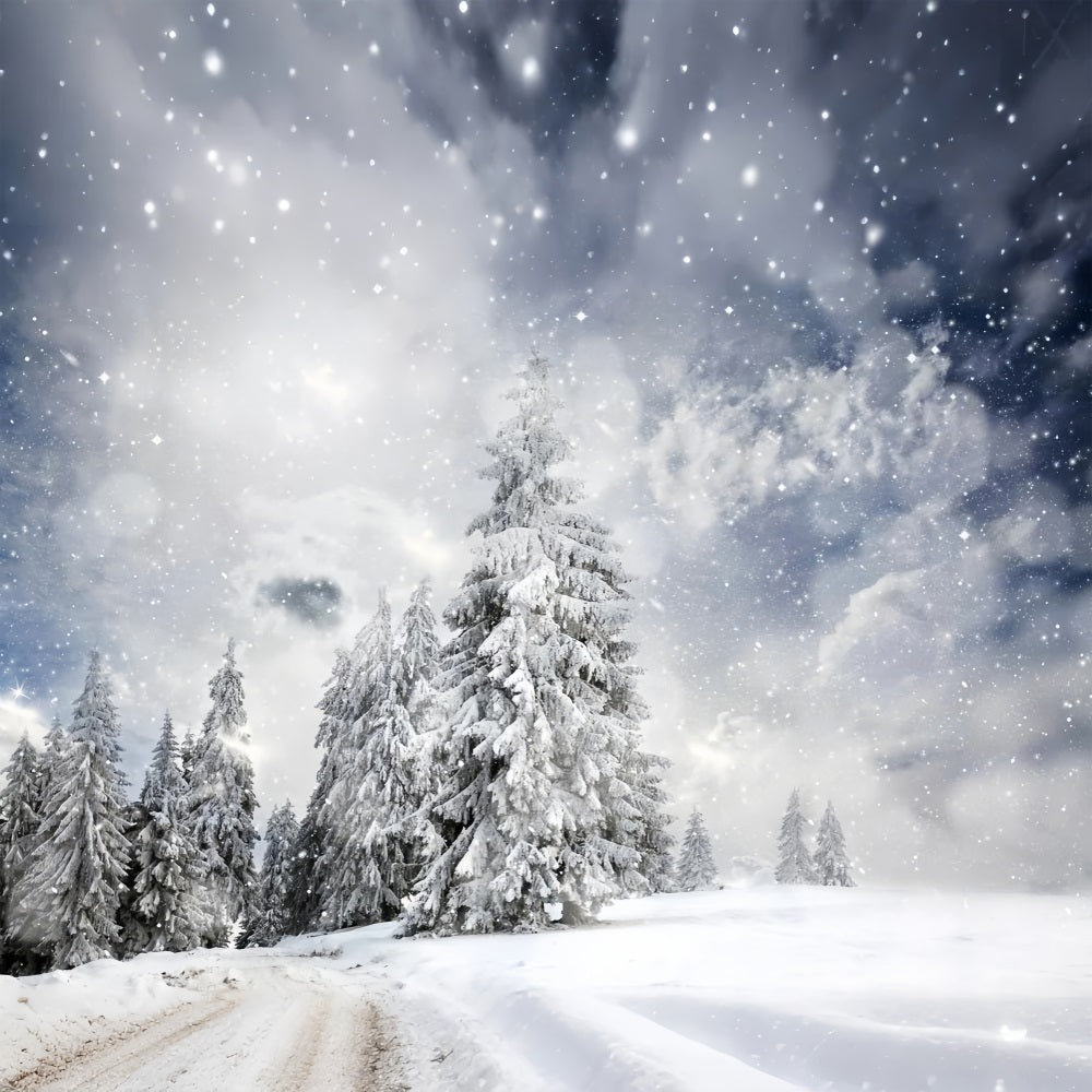 Winter Forest Under Starlit Sky Backdrop BRP9-224