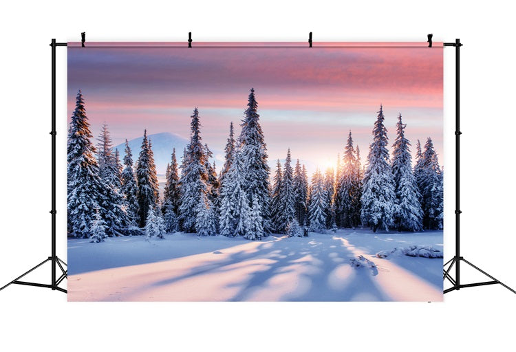 Winter Sunrise Over Snowy Forest Backdrop BRP9-226