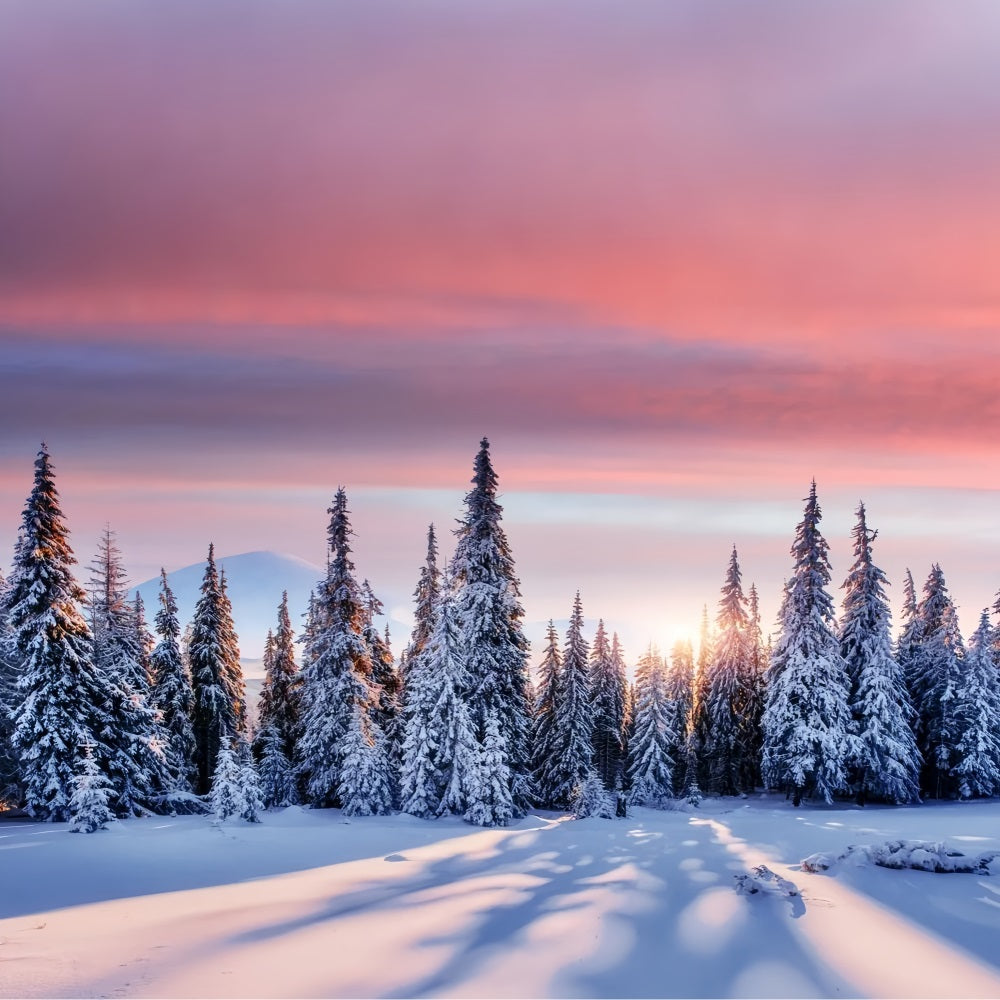 Winter Sunrise Over Snowy Forest Backdrop BRP9-226