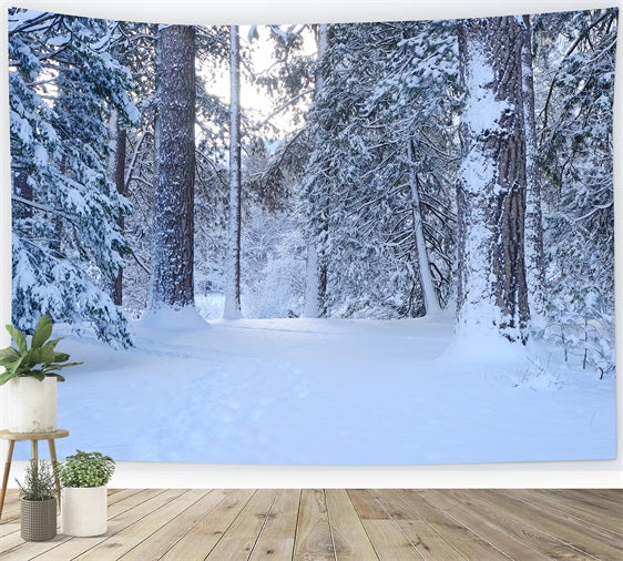 Snowy Woodland Trail Through Tall Pines Backdrop BRP9-227