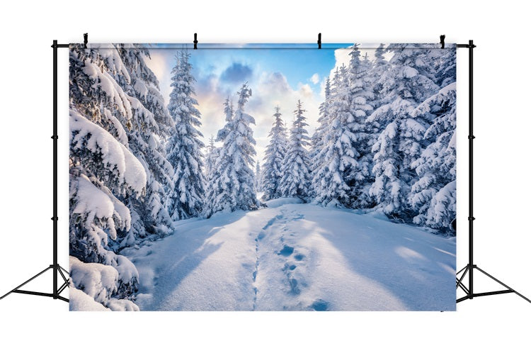 Winter Forest Clear Blue Sky Photography Backdrop BRP9-228