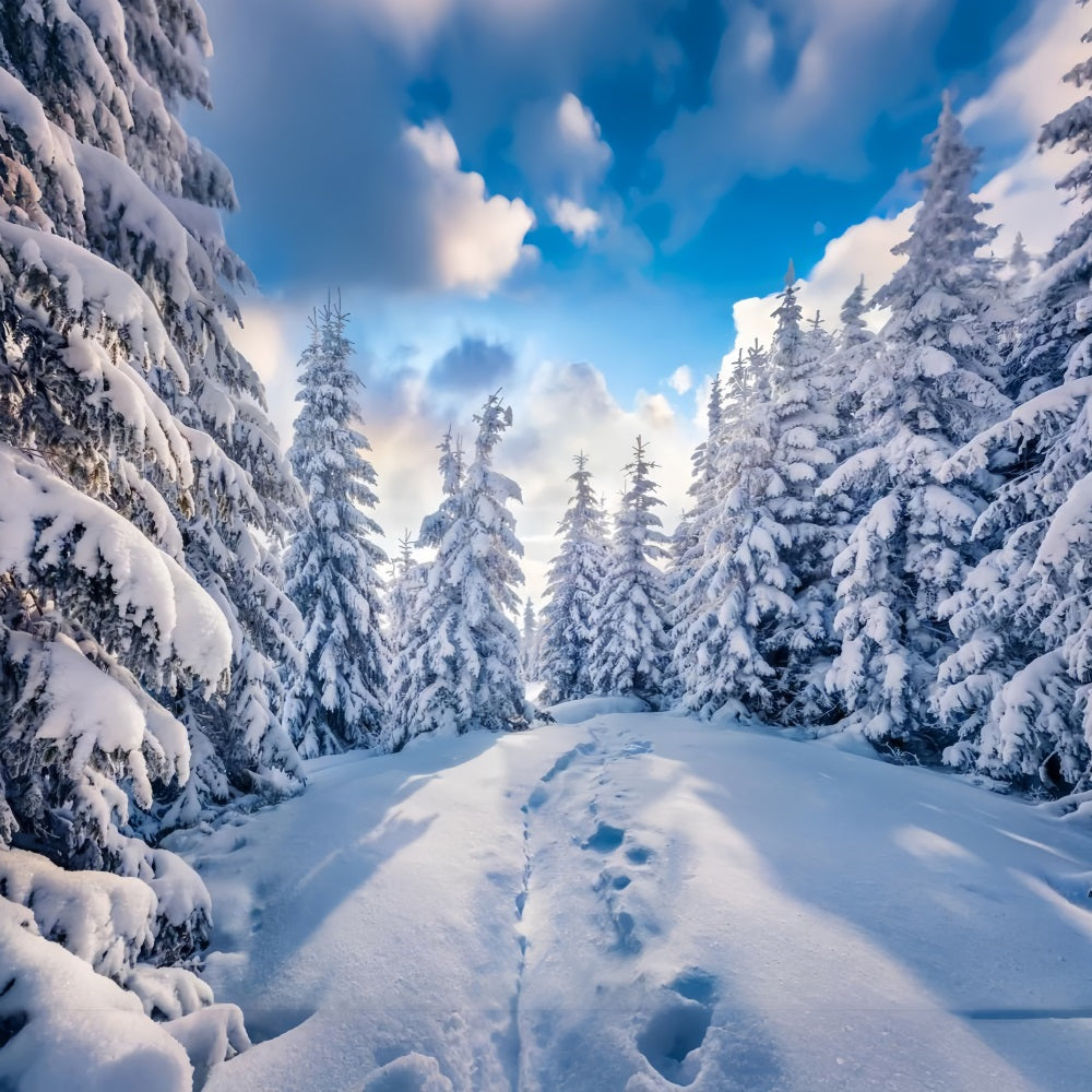 Winter Forest Clear Blue Sky Photography Backdrop BRP9-228