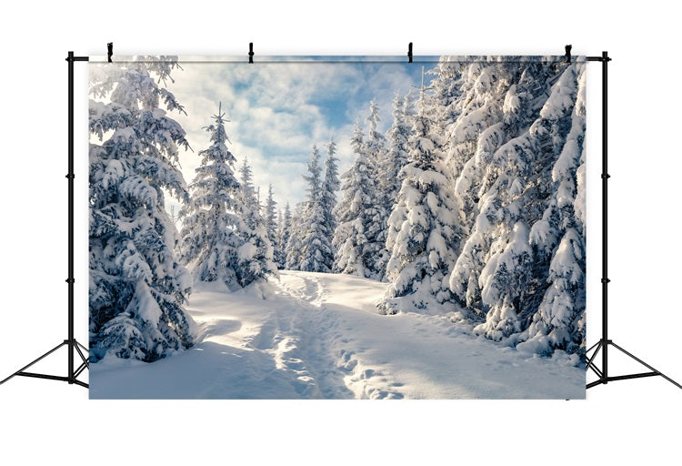 Winter Frosty Trees Clear Blue Sky Backdrop BRP9-229