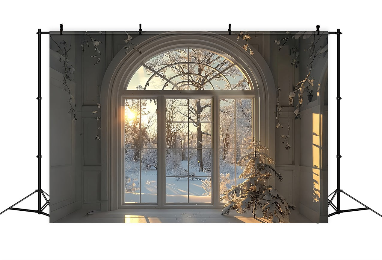 Winter Snow Trees Sunrise Window Scene Backdrop BRP9-236