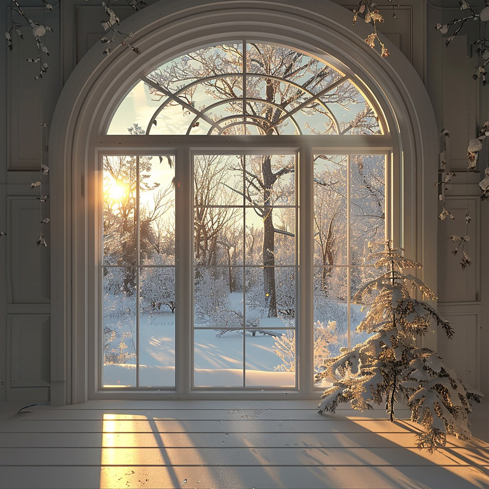 Winter Snow Trees Sunrise Window Scene Backdrop BRP9-236