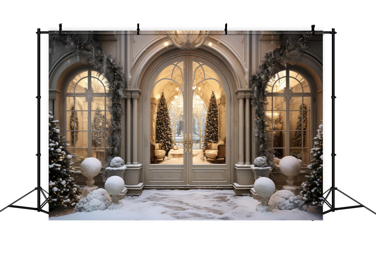 Luxurious Christmas Winter Snowy Entrance Backdrop BRP9-237