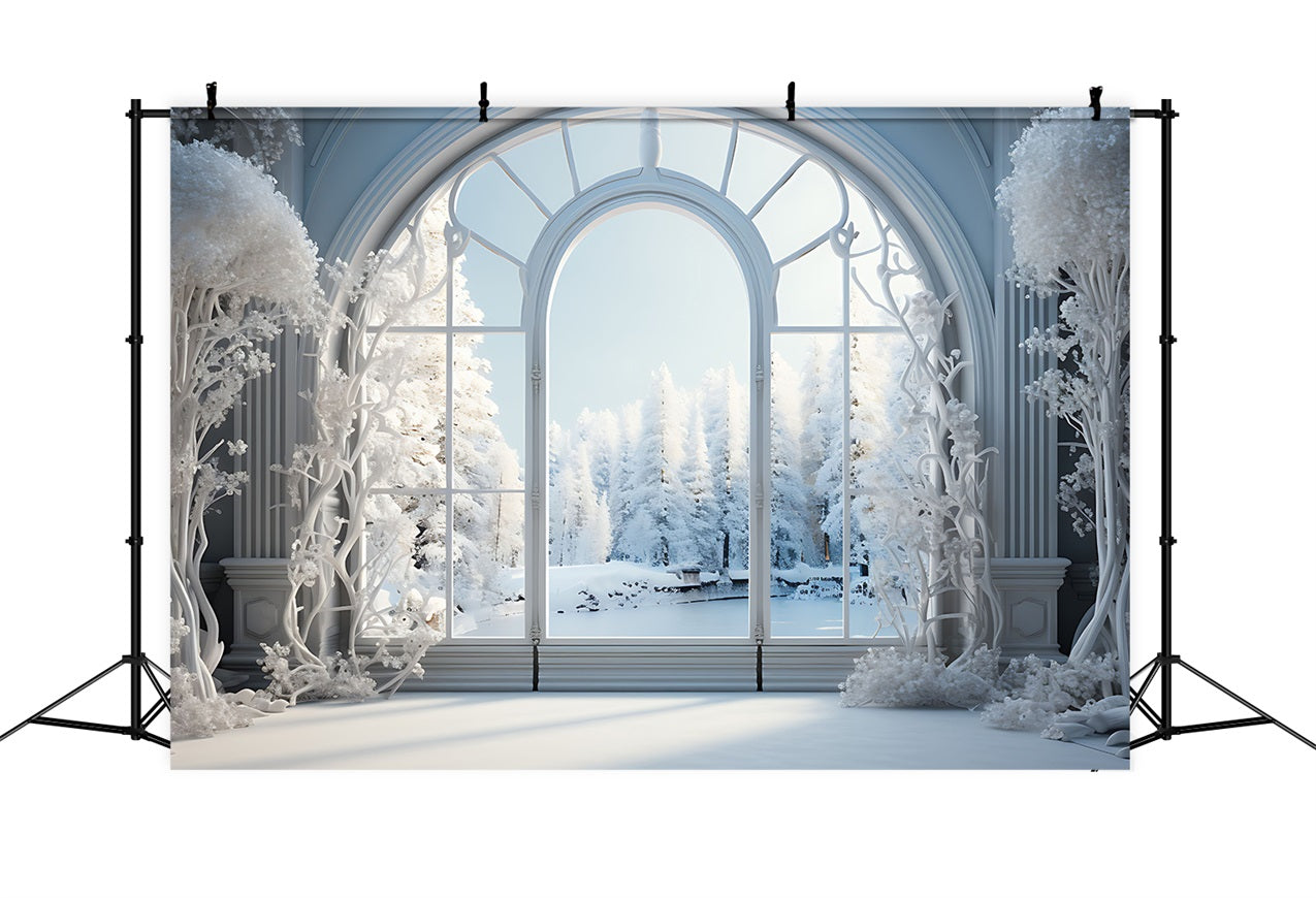 Frosty Winter Scene Grand Arched Window Backdrop BRP9-241