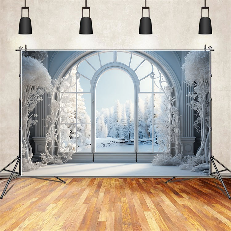 Frosty Winter Scene Grand Arched Window Backdrop BRP9-241