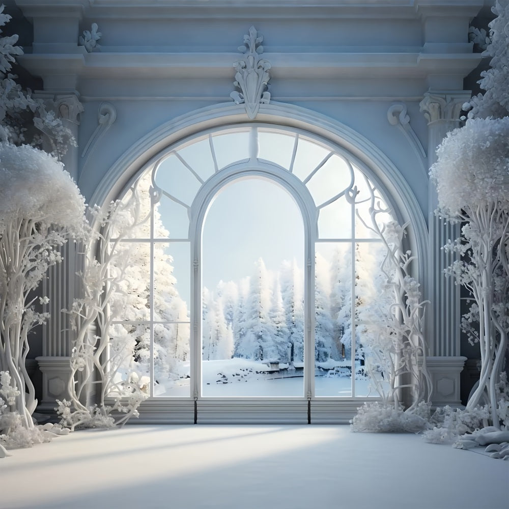 Frosty Winter Scene Grand Arched Window Backdrop BRP9-241