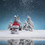 Snowman Winter Forest Photography Backdrop BRP9-280