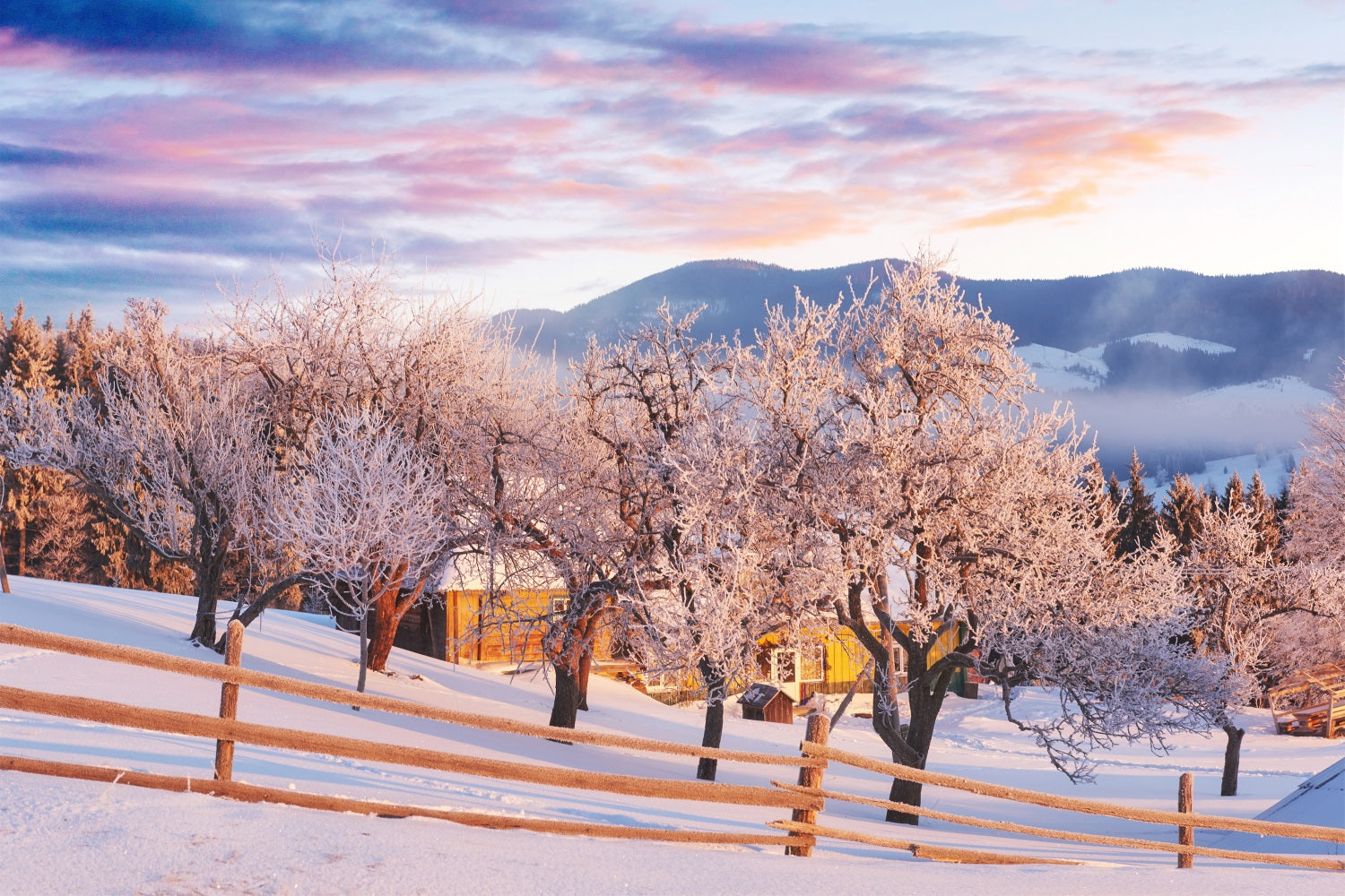 Pink Sky Winter Trees Farmhouse Photography Backdrop BRP9-282