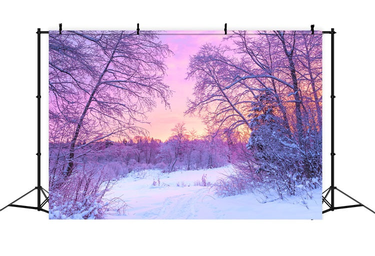 Pastel Winter Sunrise Snowy Forest Scene Backdrop BRP9-283