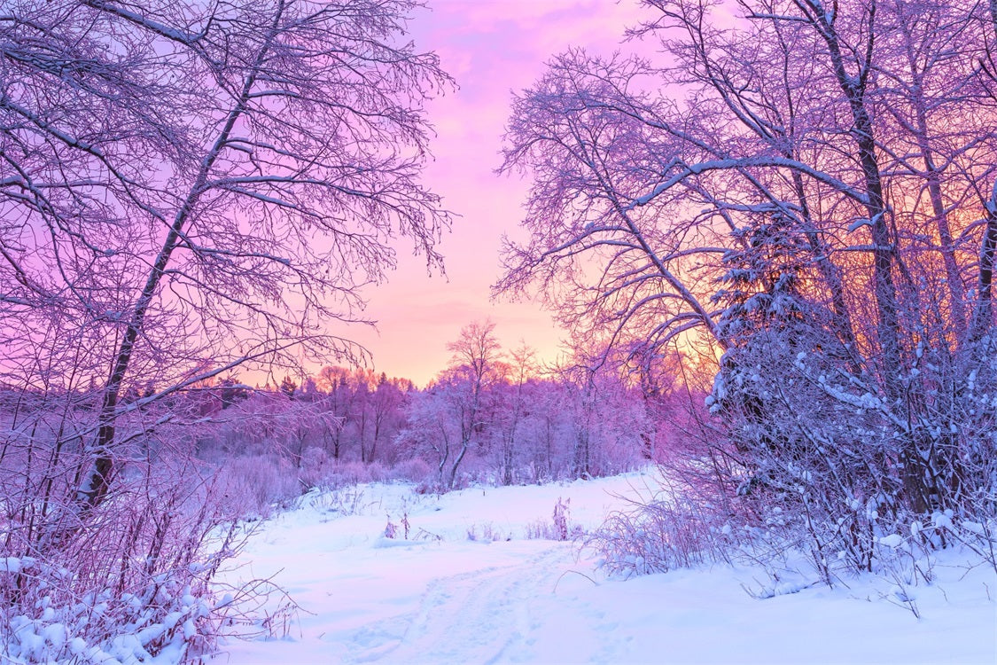 Pastel Winter Sunrise Snowy Forest Scene Backdrop BRP9-283