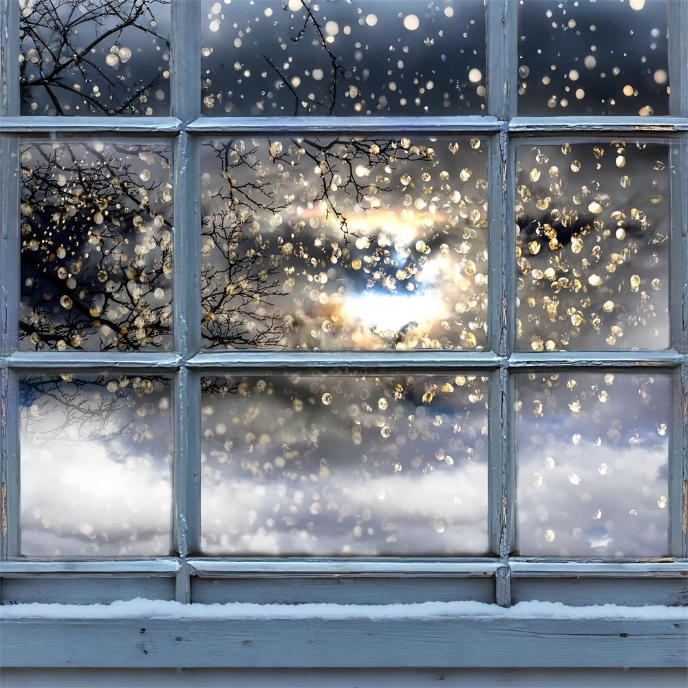 Glistening Winter Branches Through Window Backdrop BRP9-301