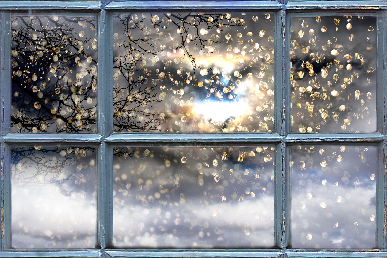 Glistening Winter Branches Through Window Backdrop BRP9-301