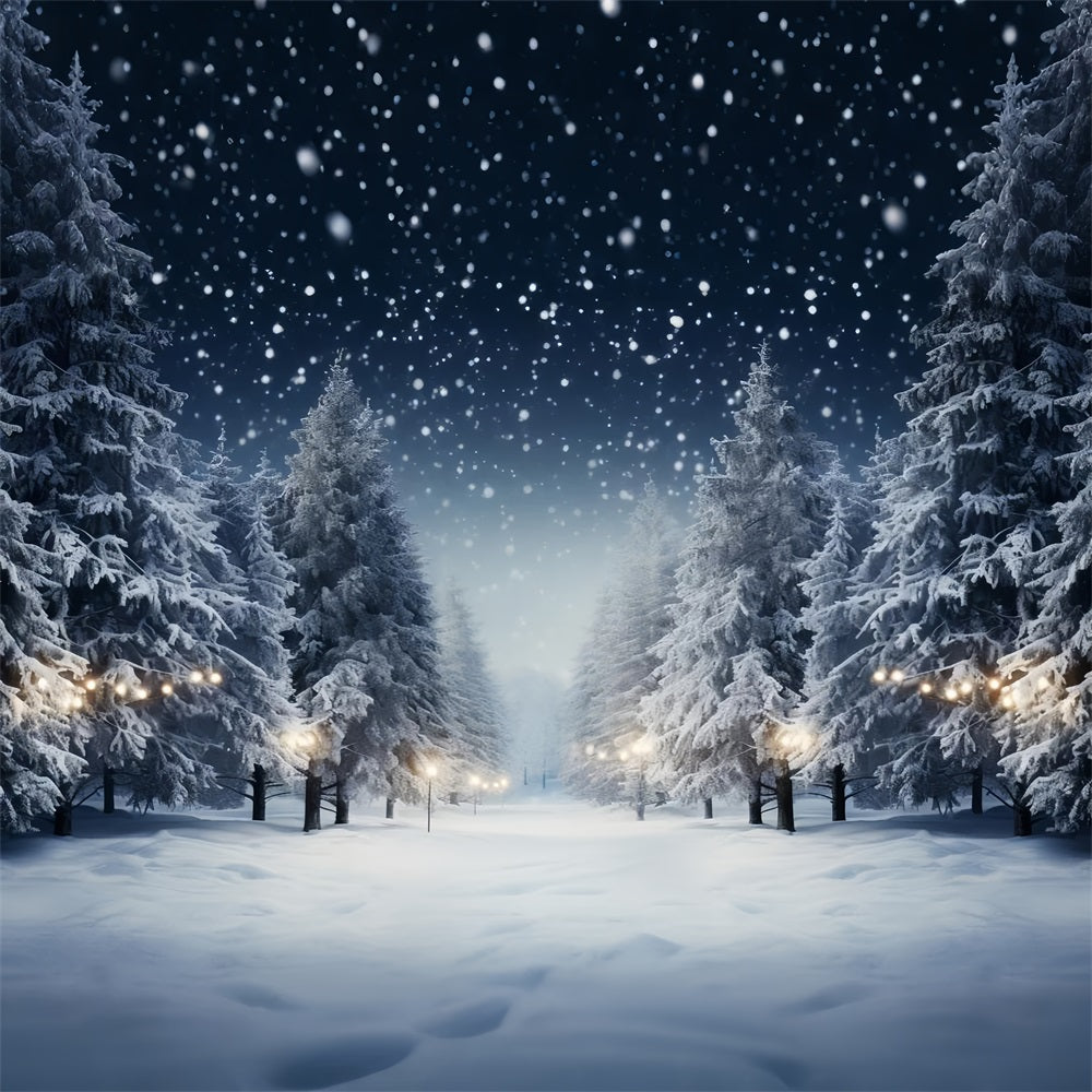 Winter Snowy Night Pine Trees Photography Backdrop BRP9-312