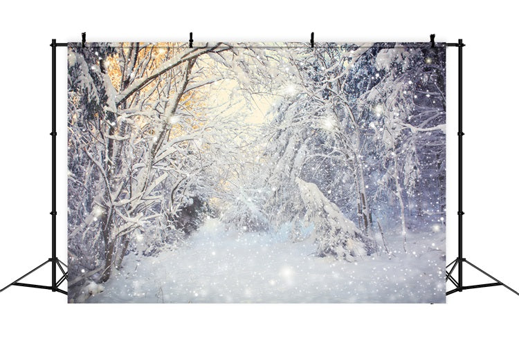 Winter Sparkling Forest Snowfall Scene Backdrop BRP9-318