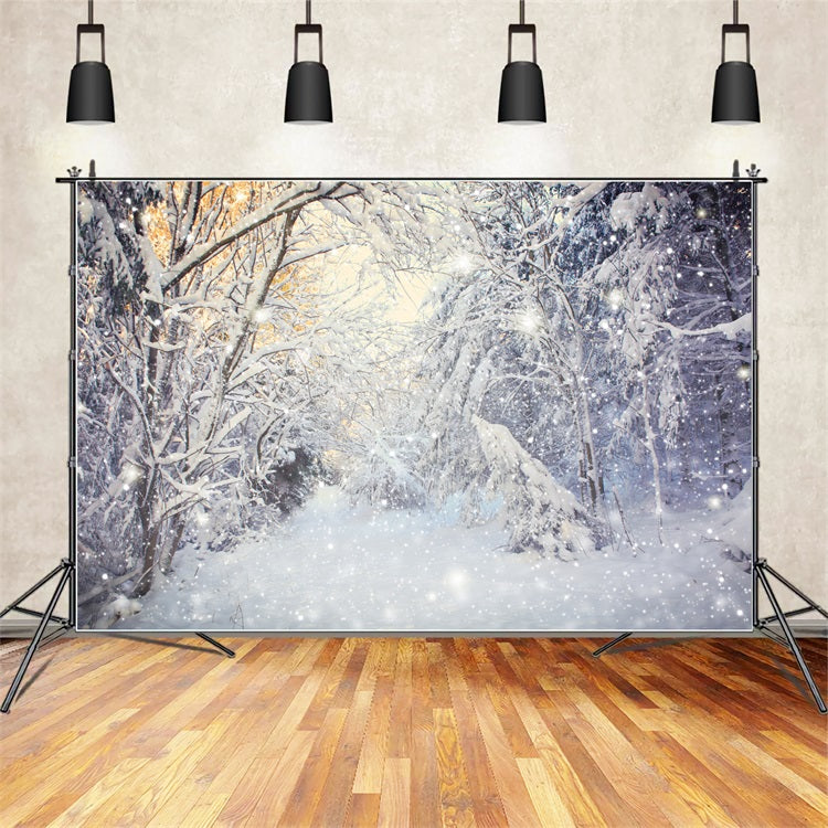 Winter Sparkling Forest Snowfall Scene Backdrop BRP9-318