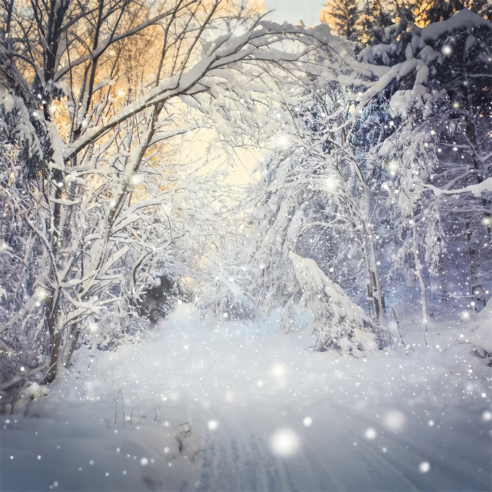 Winter Sparkling Forest Snowfall Scene Backdrop BRP9-318