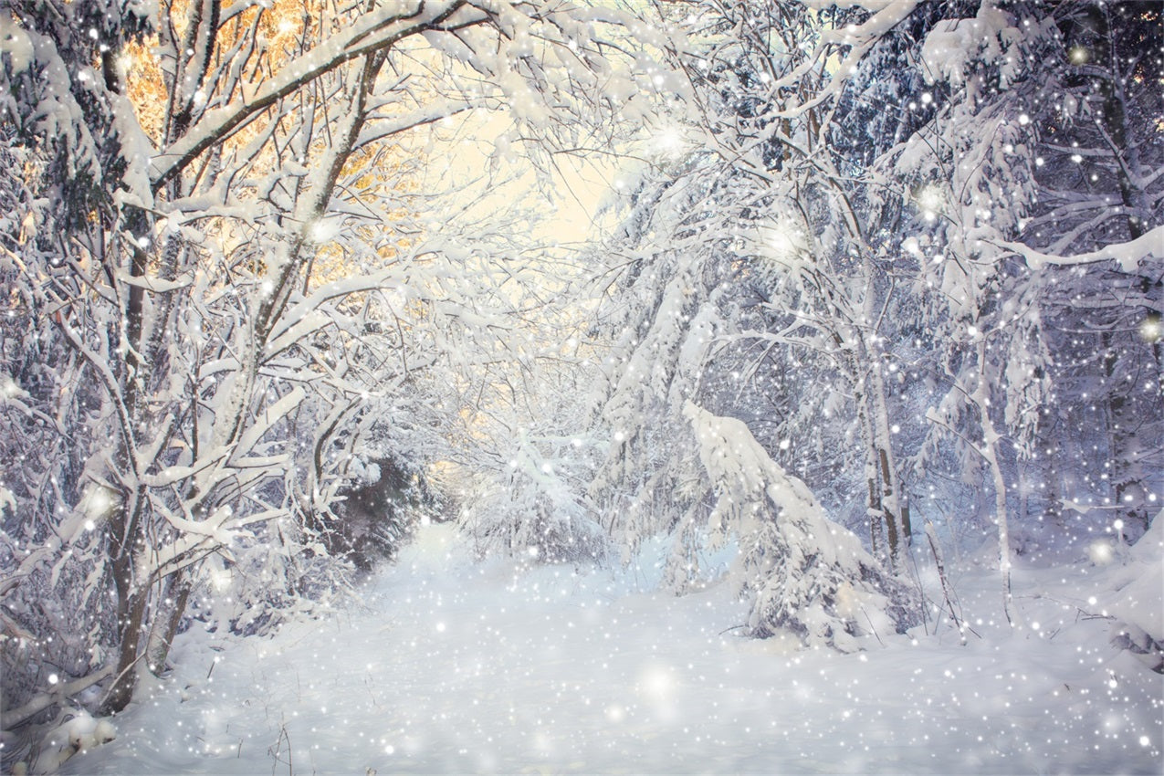 Winter Sparkling Forest Snowfall Scene Backdrop BRP9-318