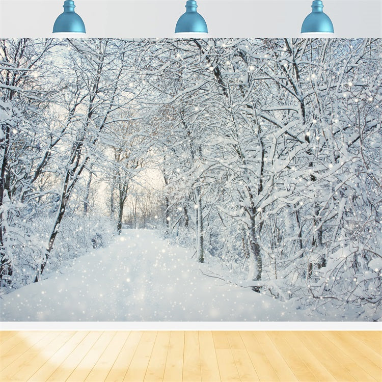 Magical Winter Forest Falling Snow Backdrop BRP9-319