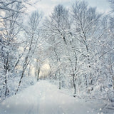 Magical Winter Forest Falling Snow Backdrop BRP9-319