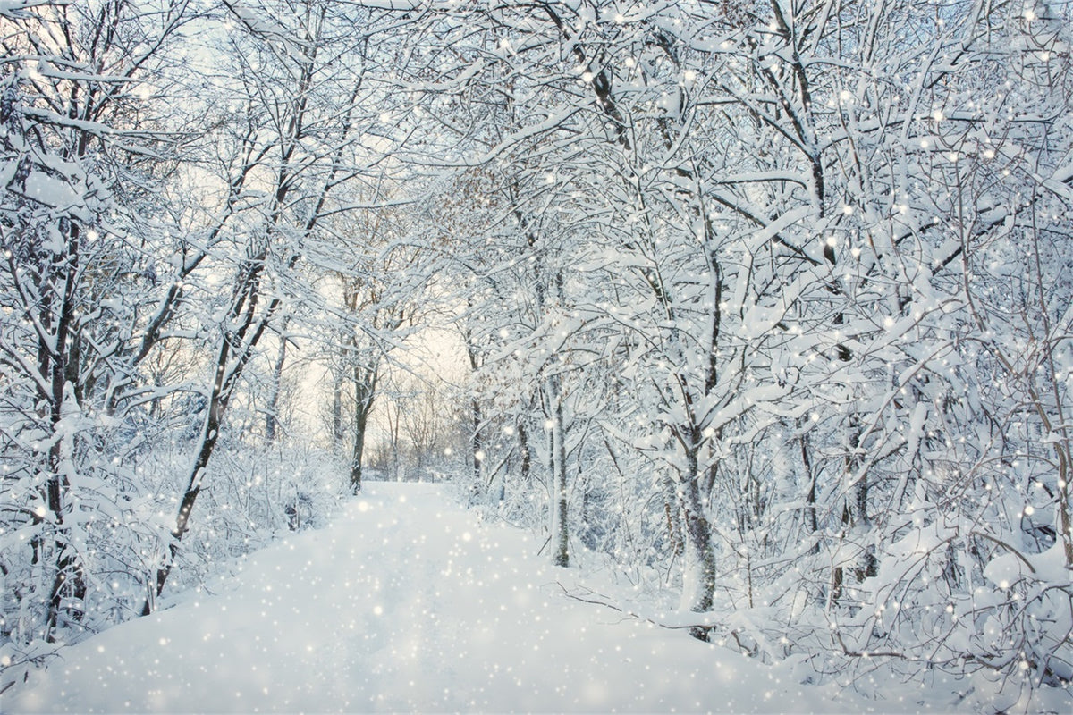 Magical Winter Forest Falling Snow Backdrop BRP9-319