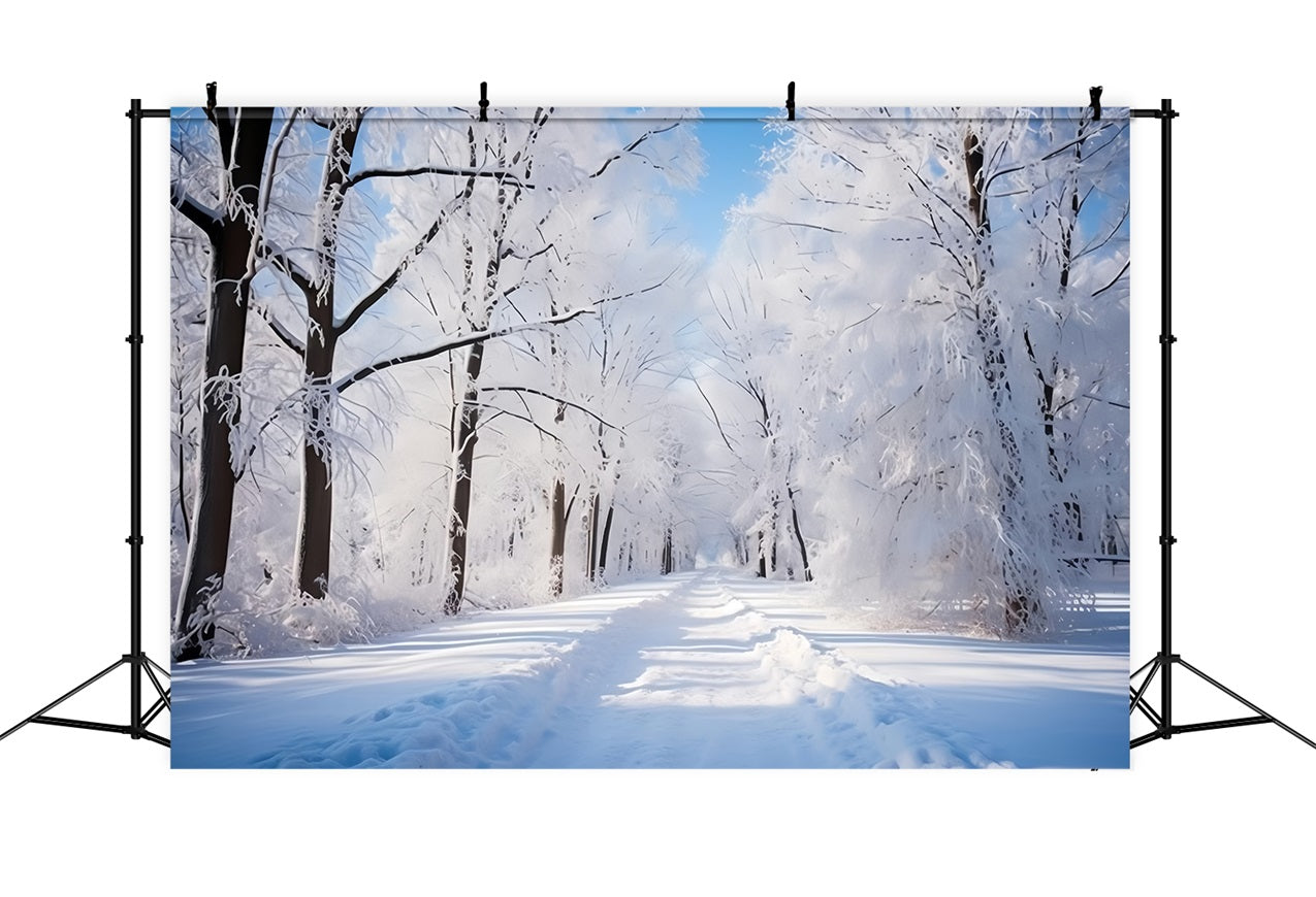 Frosty Winter Day Forest Path Photography Backdrop BRP9-322