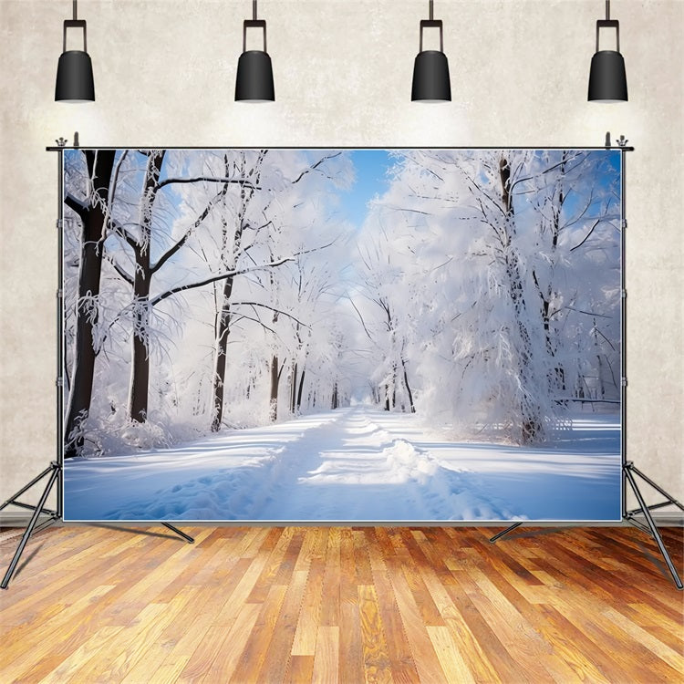 Frosty Winter Day Forest Path Photography Backdrop BRP9-322