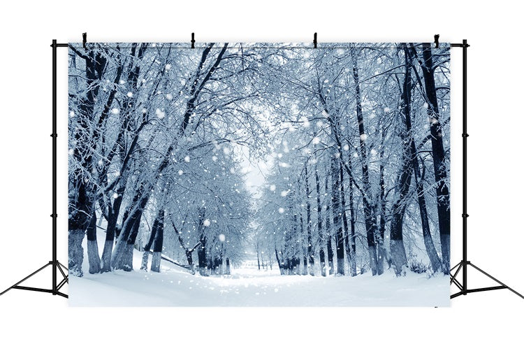 Snowy Path Enchanted Winter Forest Backdrop BRP9-324