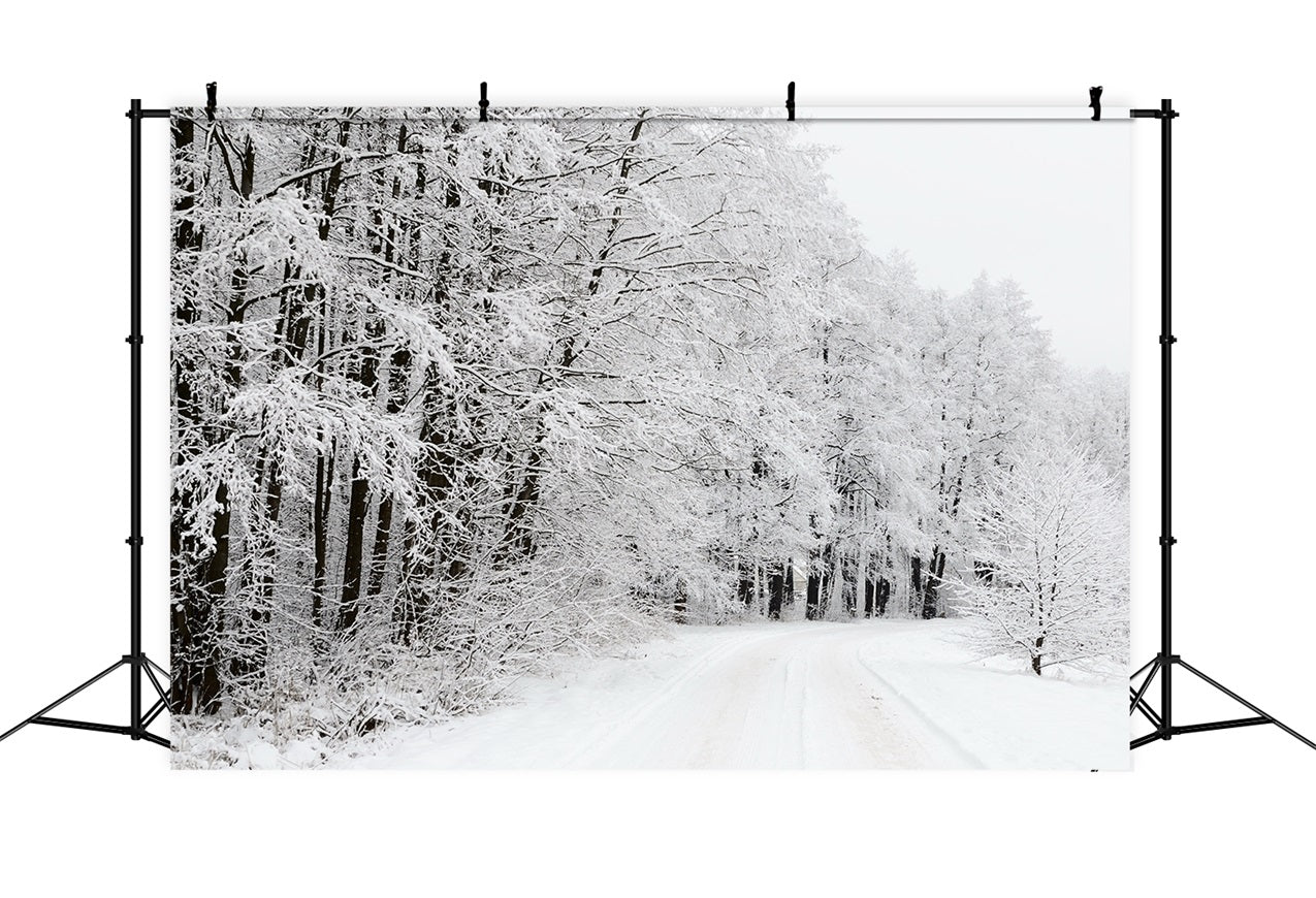 Snow Covered Forest Road Winter Wonderland Backdrop BRP9-325