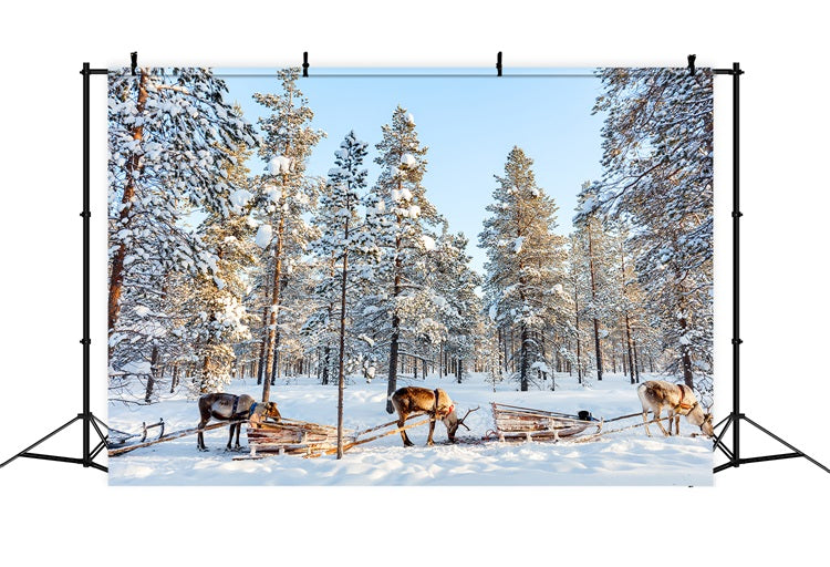 Reindeer Sledding Through Winter Pines Backdrop BRP9-326